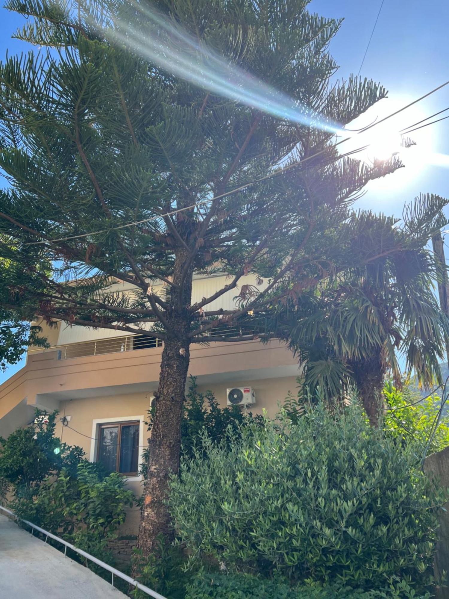 Villa Green Vlorë Extérieur photo
